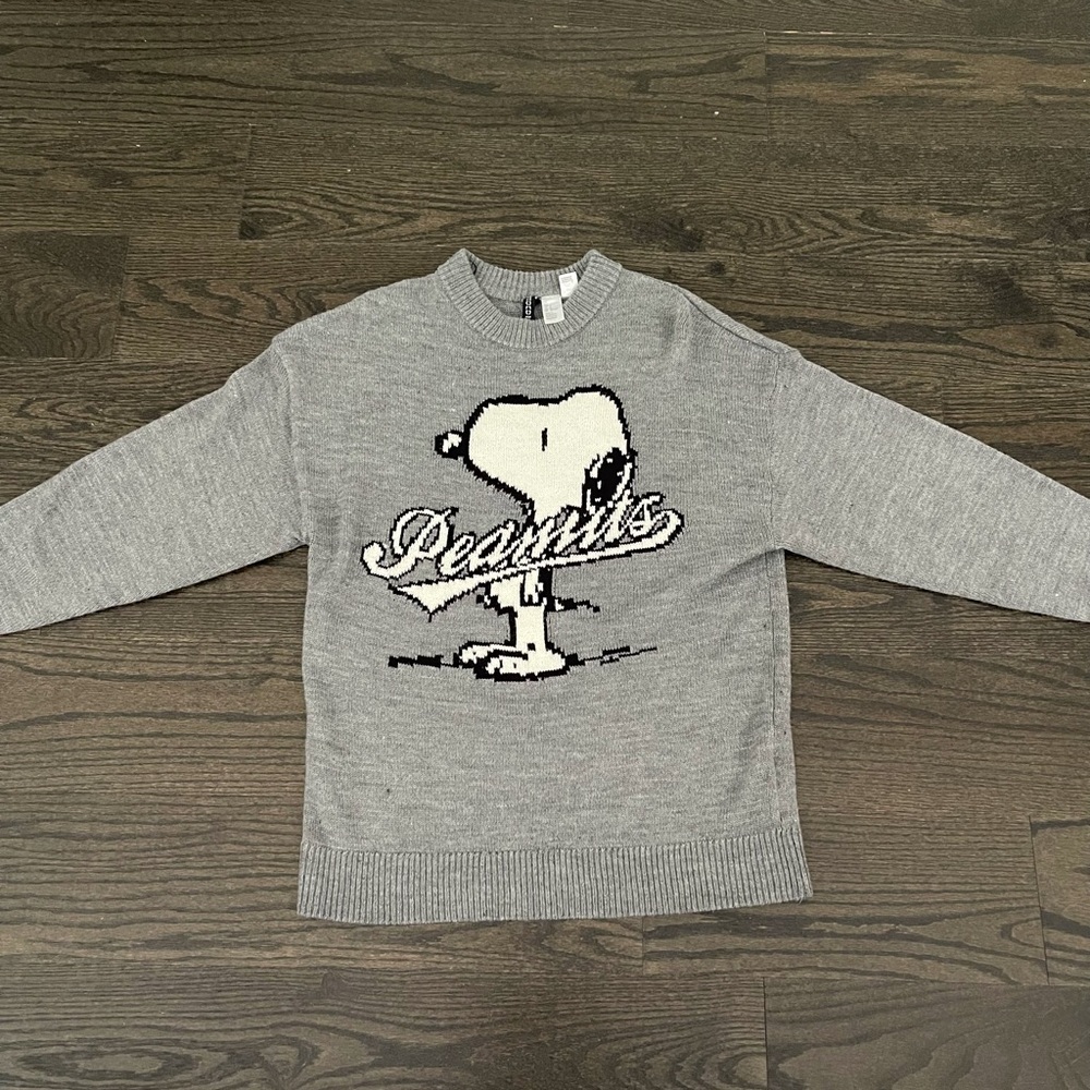 H&M Gray Snoopy Peanuts Knit Sweater - Picture 3 of 13